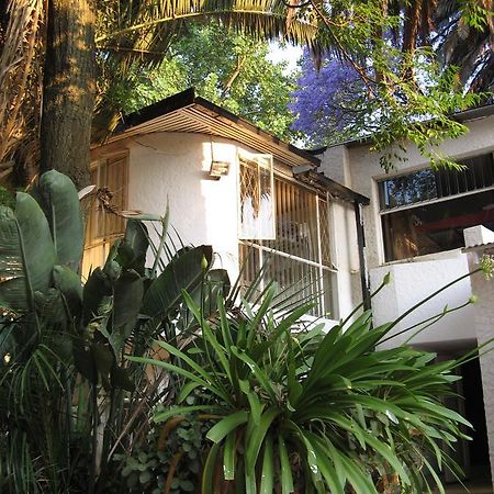 Rosebank Hostel Johannesburg Exteriér fotografie
